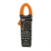 CL310 Image